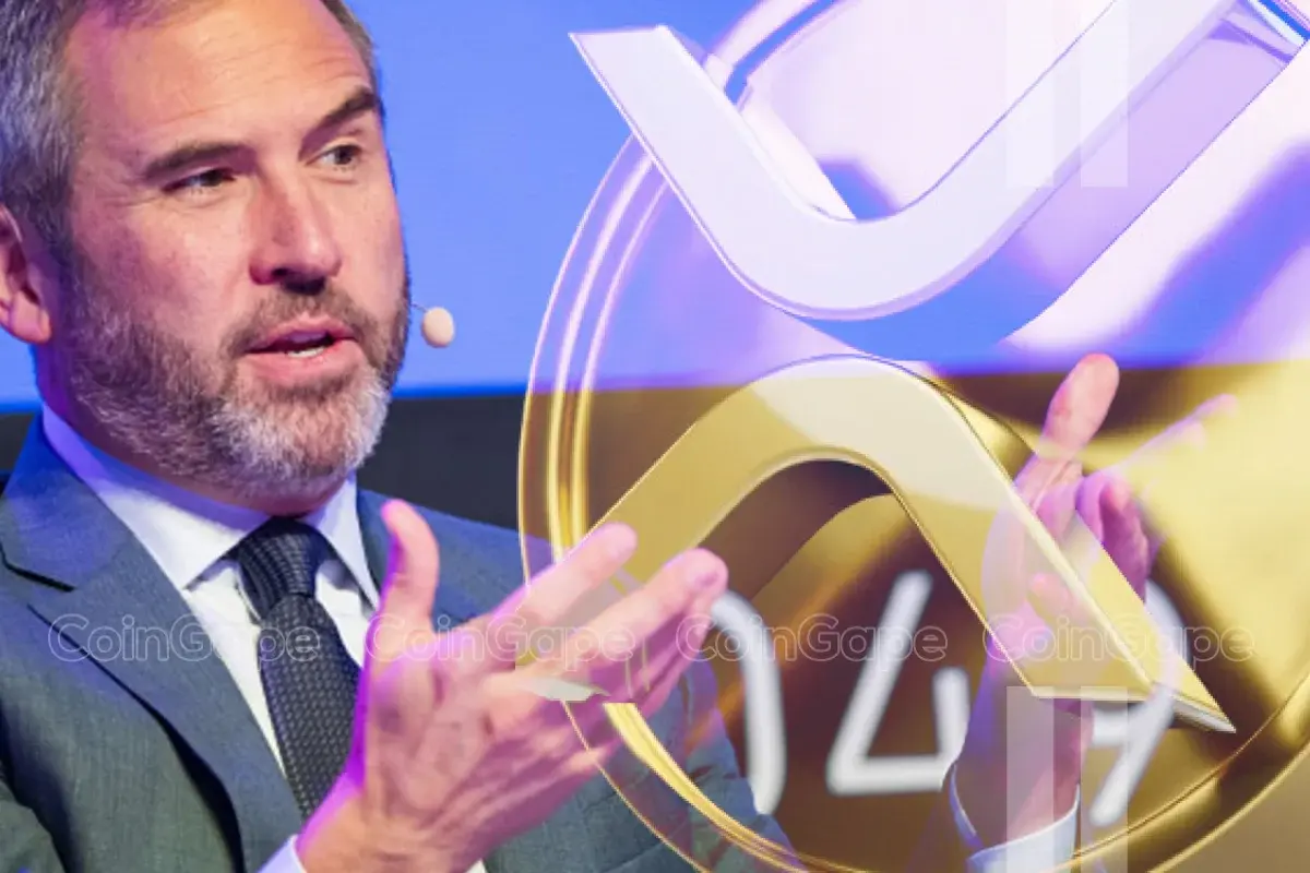 Ripple CEO Notes Two Catalysts Required for XRP Price To Fly in SEC Document