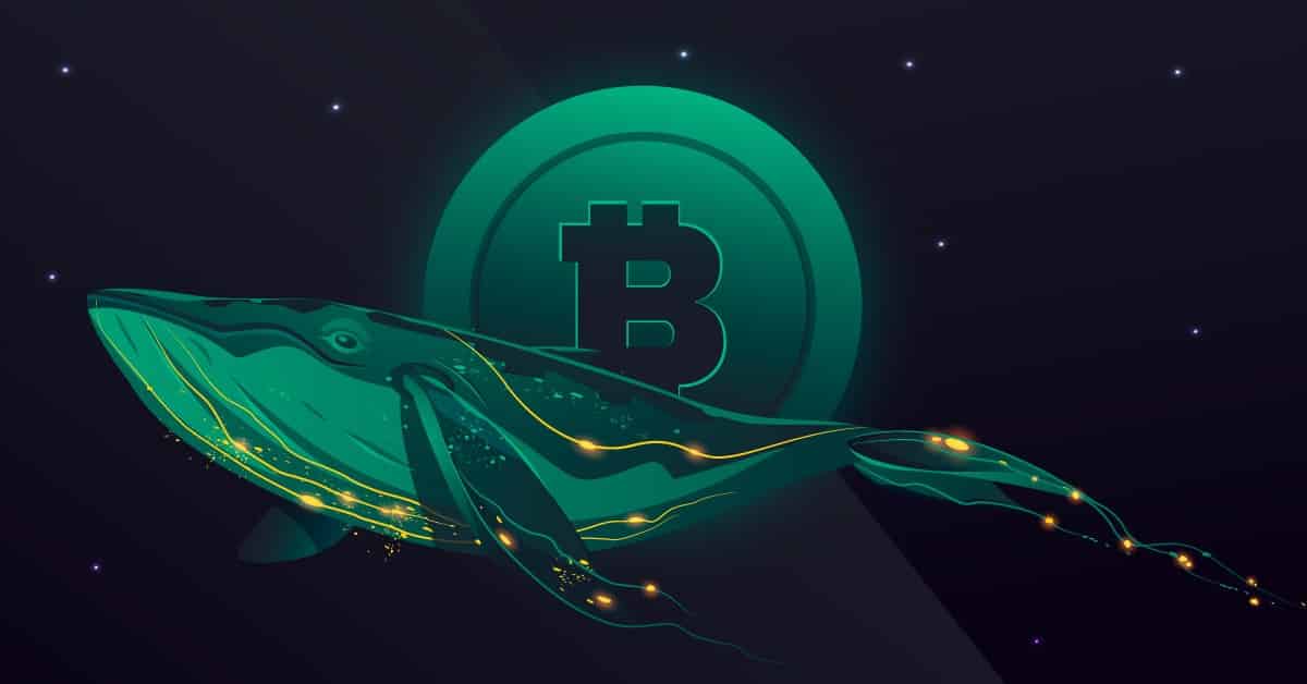 New Bitcoin Whales Hold 1.97M Coins, What It Means For BTC?