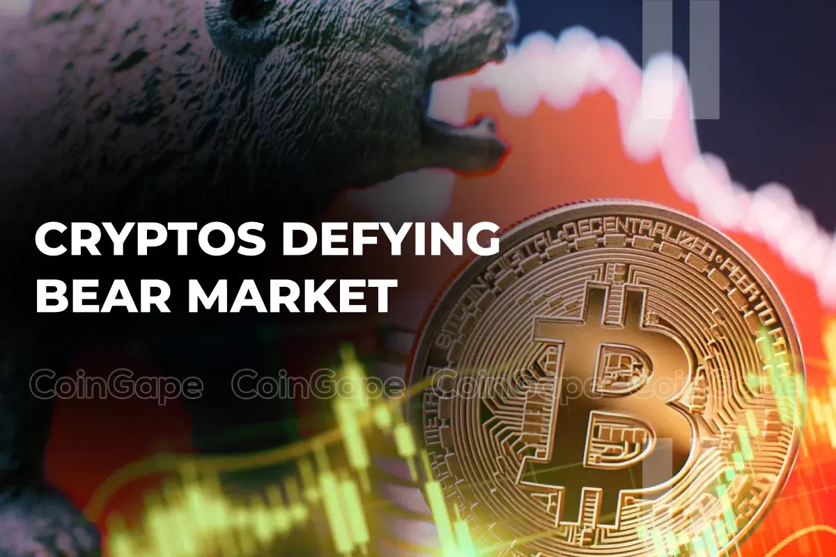 3 Cryptos Defying the Bear Market with 10%+ in Profits