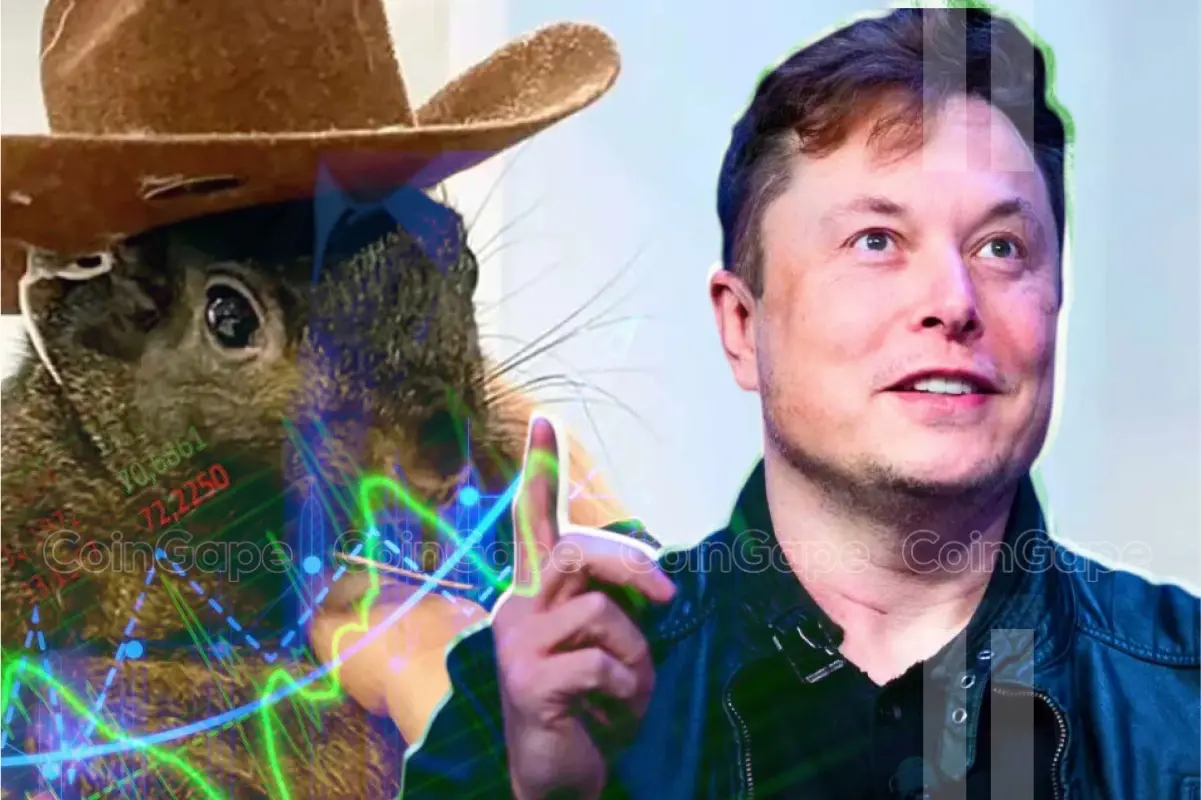 PNUT Price Soars 200% As Elon Musk Shilling Peanut the Squirrel