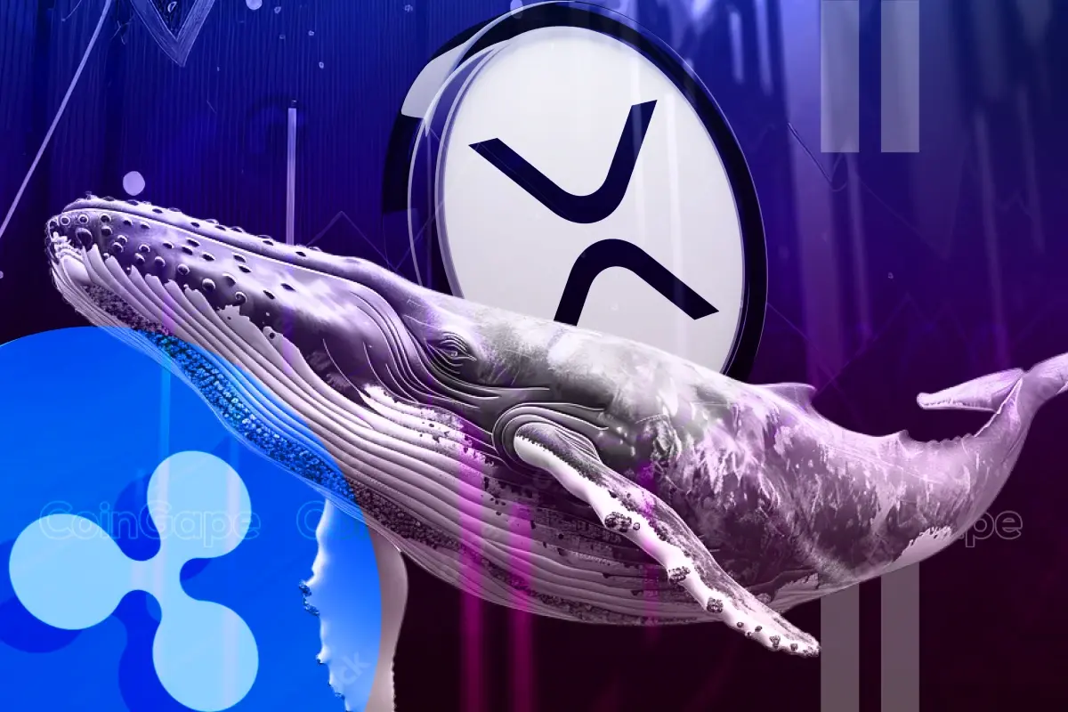 Ripple Whales Bag $526M Coins As XRP Eyes Rally To $7.5